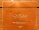 King Gizzard And The Lizard Wizard - Paper Mache Dream Balloon FLEXI DISC