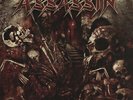Assassin - Combat Cathedral LP - Colored Vinyl Record SEALED Album