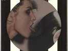 Blondie Parallel Lines picture disc LP vinyl album record USA PCDL1192