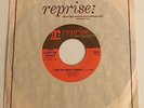 The Electric Prunes / I Had Too Much To Dream / 1966 1st press / Reprise 45 Mint