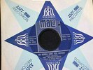 RARE 60s FLORIDA GARAGE ROCK 45 The BIRDWATCHERS original MALA ex MOR-LOKS Hear
