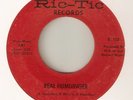 J J BARNES Real Humdinger RIC TIC DETROIT ZTSC NORTHERN SOUL USA 45