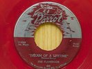 The Flamingos 45 Dream of A Lifetime bw On My Merry Way on Parrot doo-wop