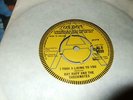 RAY RUFF AND THE CHECKMATES : I TOOK A LIKING TO YOU A LABEL PROMO 7