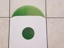 ROR ROCK O RAMA ISD REBELLES LIMITED GREEN ONLY 64 COPIES  LP VINYL