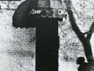 Neil Young - Live at the Cellar Door LP 180gr (NY Archives/Performance Series)