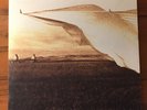 NEIL YOUNG Prairie Wind 2LP 2005 Reprise 49593-1 Quiex 200 Gram EX w Booklet