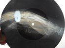 DEAN MARTIN - BUONA SERA -  USSR GEORGIAN X-RAY ROENTGEN BONES RECORD