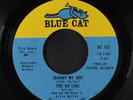AD LIBS: Johnny My Boy / I'm Just A Down Home Girl 45 Soul