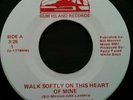 Rare Private Press 1980's Country Rock GUM ISLAND 45 Kentucky HEADHUNTERS Signed