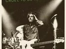 NICK LOWE & WILCO CRUEL TO BE KIND 7