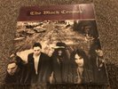 The Black Crowes The Southern Harmony And Musical Company 12” Vinyl Record.