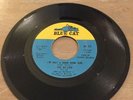 Ad Libs - I'm Just A Down Home Girl / Johnny - US Blue Cat  - Mod Northern Soul