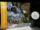 SUPERIOR Audiophile-like Jpn TYRANNOSAURUS REX  Mystical Hippie Folk Psych STARS
