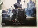 MY CHEMICAL ROMANCE: MAY DEATH NEVER STOP YOU DOUBLE VINYL