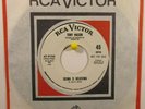 Tony Mason  RCA 9104 WL Promo  Take Good Care b/w Seeing is Believing  No. Soul