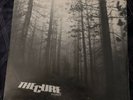 The Cure A Forest 12” Fiction Records Original 1980 UK Pressing RARE