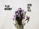 FLAT WORMS-INTO THE IRIS VINYL LP NEW