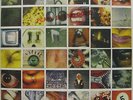 Pearl Jam Nein Code 1996 US Org Verpackt LP Eddie Vedder Gossard Ament Mccready