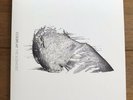 coldplay - The Scientist  7” vinyl