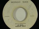Horace Andy 