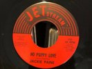JACKIE PAINE 45 No Puppy Love TEXAS NORTHERN SOUL on JETSTREAM Jet Stream