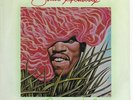 Jimi Hendrix 