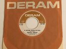 Procol Harum / A Whiter Shade of Pale & Lime Street Blues / 1967 45 Mint