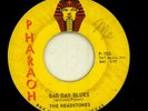 THE HEADSTONES-BAD DAY BLUES-TEXAS GARAGE PUNK MCALLEN PHAROAH 152 1966