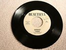 GARAGE PSYCH CARGOE Wondering BEAUTIFUL 101 VG+ MEMPHIS HVY GUITAR/ORGAN wol