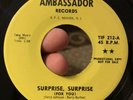 Garage Psych The Loved Ones Surprise Surprise Rare 45 Ambassador