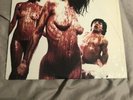 Dwarves - Blood Guts And Pussy Lpv1st Press Red Vinyl Nofx Rancid