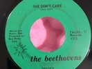 unknown GARAGE ROCK DRUM BREAKS FUZZ the beethovens SHE DON’T CARE on TALOS 45