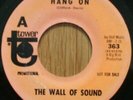 The Wall of Sound-Hang on Demo. USA Pressing 7