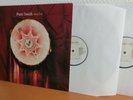 PATTI SMITH TWELVE DOPPEL LP RARE 2007 EU FIRST PRESS VINYL