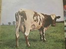 PINK FLOYD   ATOM HEART MOTHER   rare UK original LP 1971