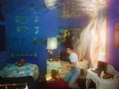 Weyes Blood - Titanic Rising 12'' Loser Edition Red Vinyl LP (Sealed) SOLD OUT