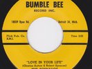 Detroit Doo Wop Soul Ballad / Jump Rocker - The TORNADOS - Love In Your Life