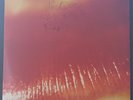 THE CURE - KISS ME KISS ME KISS ME 1987 FICTION/WEA 600143.1 AUS 2LP'S 1ST PRESS