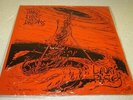 LAURI PAISLEY THE FIRE OF DREAMS LP NEW SEALED US VINYL RARE NEW AGE ELECTRONIC