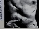 ANDY WARHOL PHOTO COVER RICHARD AVEDON 7