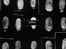 Gray - Shades Of w/ Remixes- Basquiat NEW RSD Record Store Day Black Friday 2019