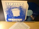 The Posies: Failure (M-  1989 PopLLama PL2323 BLUE WAX LP) Insert