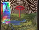 Various Artists  - 