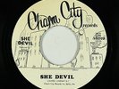 Funk Disco 45 - She Devil - She Devil - Charm City - VG++ mp3