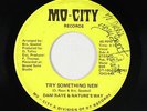 Funk/Sweet Soul 45 - Dani Raye & Nature's Way - Try Something New - Mo-City mp3