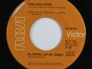 Northern Soul 45 EXCITERS Blowing Up My Mind  RCA VICTOR VG+ 1st pressing HEAR
