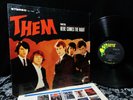 '65 Beauty In Shrink THEM   VAN MORRISON GLORIA   HOWLING FUZZ PUNK  MYSTIC EYES