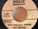 The Squires Why Should I Suffer / Walkin DJ Promo 45 VG++