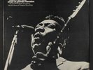 MUDDY WATERS: Down On Stovall's Plantation LP Sealed rare Blues & R&B